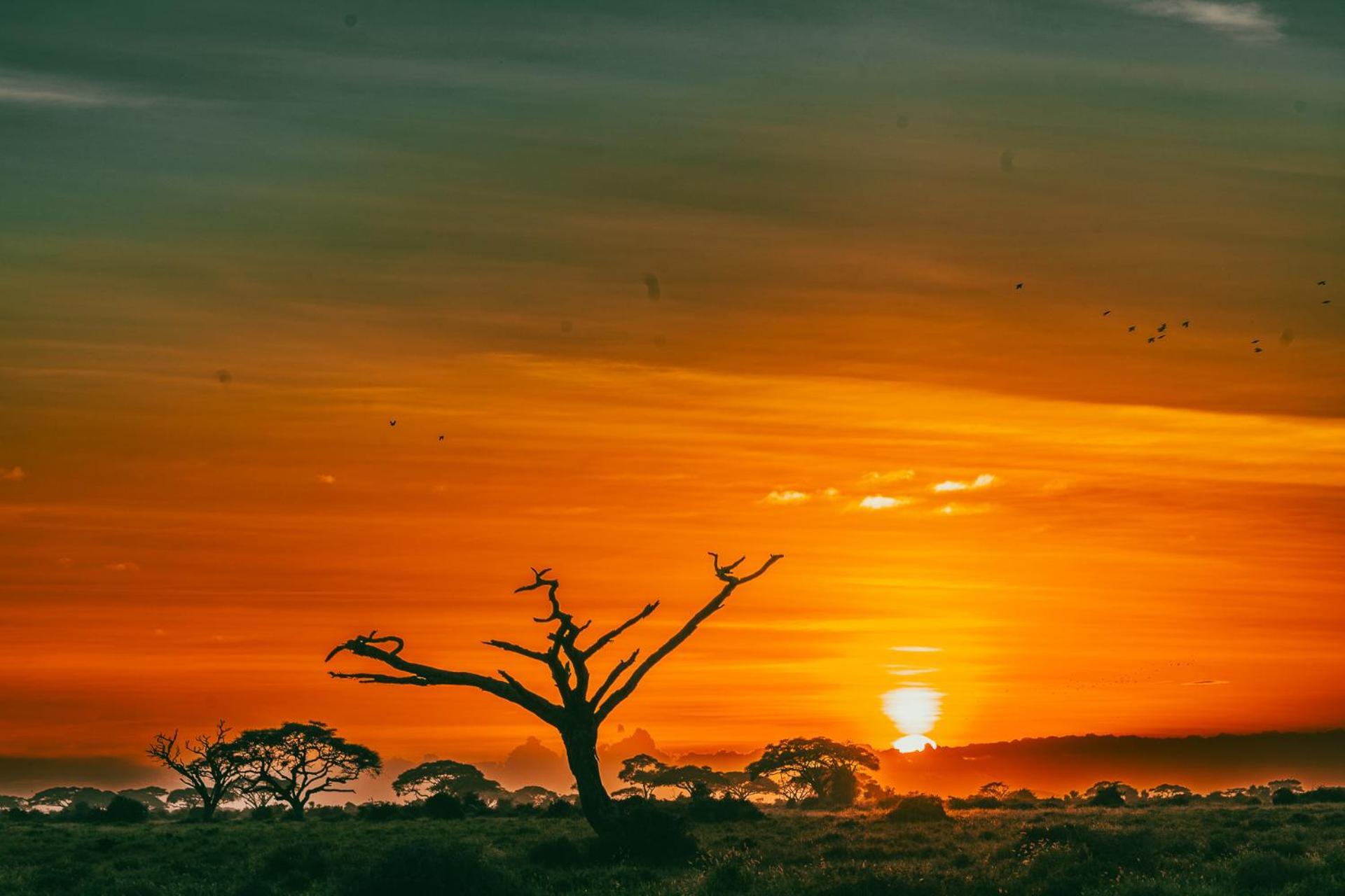 Amboseli Glass House Oloitokitok المظهر الخارجي الصورة