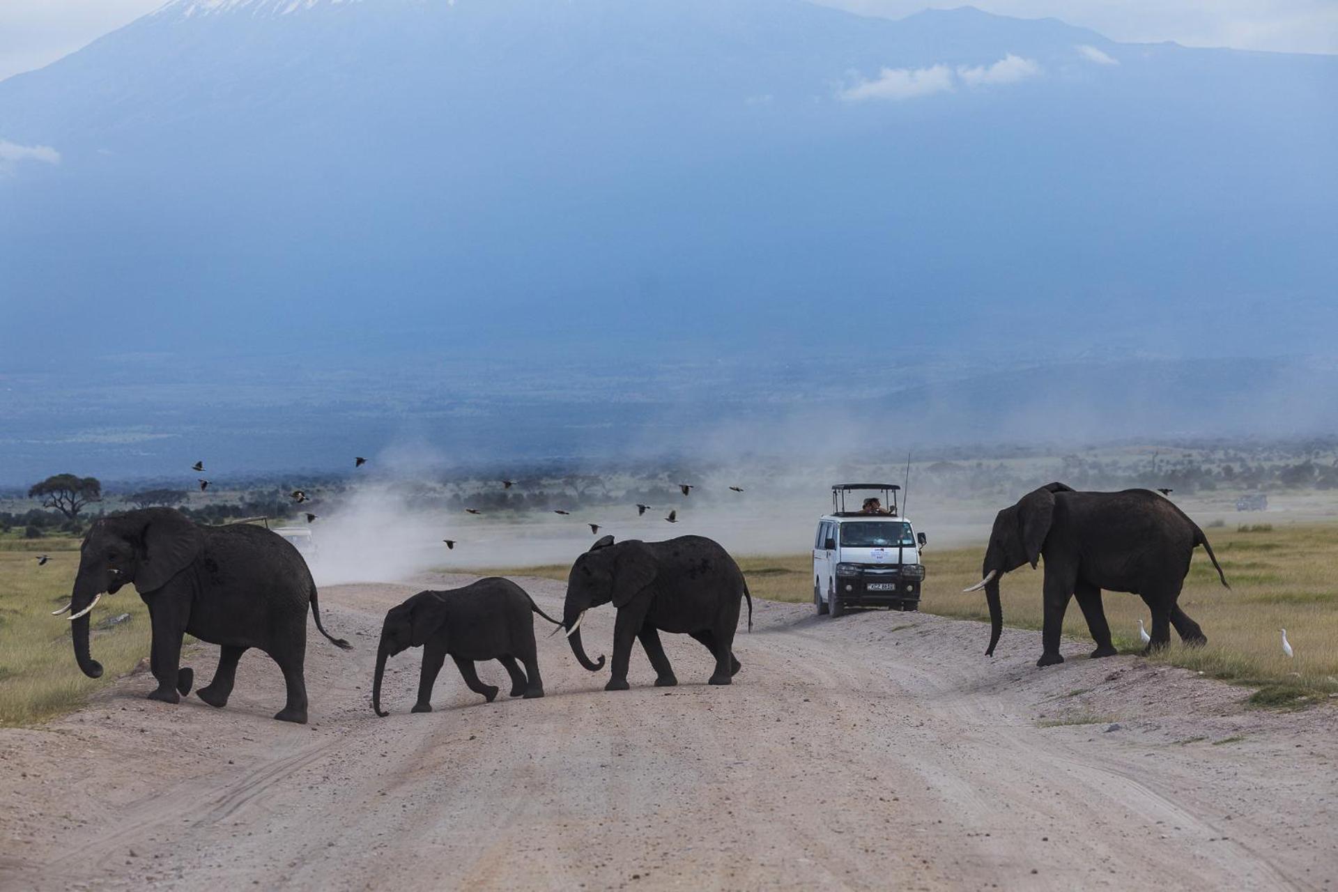 Amboseli Glass House Oloitokitok المظهر الخارجي الصورة
