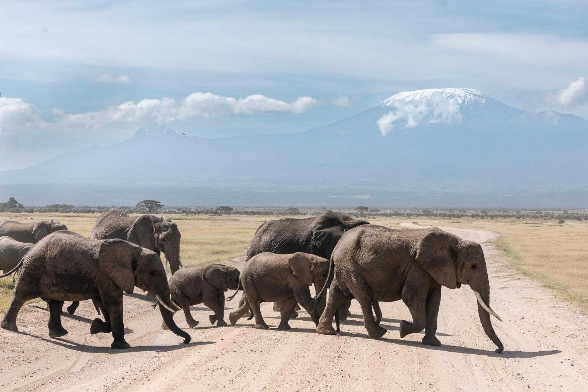 Amboseli Glass House Oloitokitok المظهر الخارجي الصورة